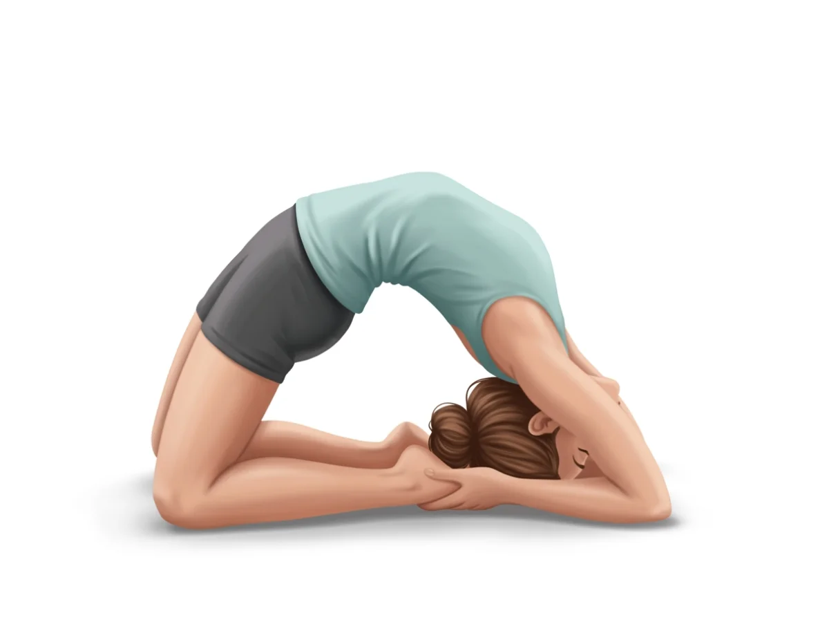 Pigeon - pose preview alignment illustration